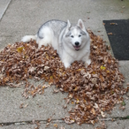 THeCyPHeR369's Avatar