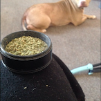 BUBBA_KUSHHHH42's Avatar'