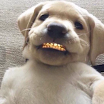 IsoCuban's Avatar'