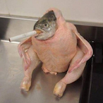 PimpinFish's Avatar'