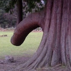 C077ckerSamuel's Avatar'