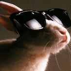 RabbitAlbert's Avatar