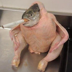 Lumpofchicken's Avatar'