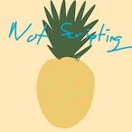 NotScripting's Avatar'