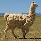 brmondo66.'s Avatar'