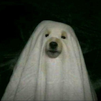 Dambildor-'s Avatar'