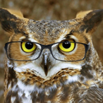 Floof_Birb's Avatar'