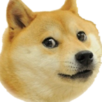 Doge_juno's Avatar'