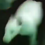 dot.......'s Avatar'