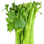 Mr_Celery's Avatar'