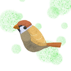 maple_yoyo's Avatar'