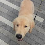 SoupItzGood's Avatar'