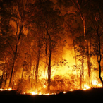 God-Of-Hell's Avatar'