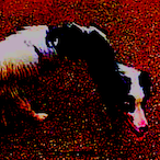 gonnaeacha's Avatar'