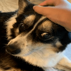 TahtCasual's Avatar'