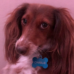 Lancer0224's Avatar'