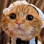sho-nyan.VVC's Avatar'