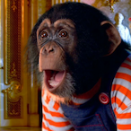 pulln glocks601's Avatar'