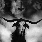 Zxnyx1830's Avatar'