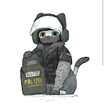iroa161's Avatar'