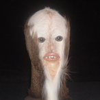 B4byB0n3r.AYK's Avatar'