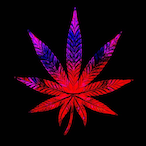 Raphiki-_666's Avatar'