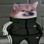 Kazmax212's Avatar'