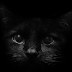 eggyeggyeggy_'s Avatar'