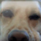 xXUncodedXx's Avatar'