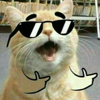 LAILAILAIii's Avatar'