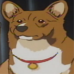 MDmoneydog's Avatar'