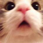 Other_Maki's Avatar'