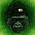 SuperJgaming's Avatar