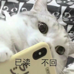 cute-NZ's Avatar'
