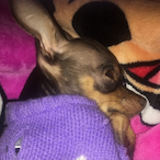 PabloRainbow67's Avatar'