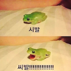 MANKO_MANUN.'s Avatar'