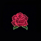 lsmclover's Avatar'