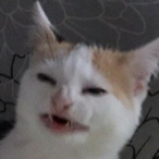 LiebIing's Avatar'