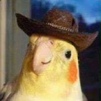 M4L1C10UsIntent's Avatar'