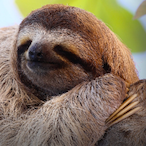 Weqcl Fan's Avatar'