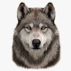 Brac.LOW's Avatar'