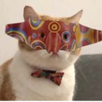 Cranecaptain's Avatar'