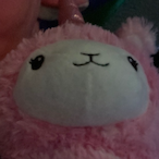 faemissesheads's Avatar'