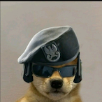 netnutt.WMD's Avatar'