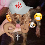nazUrtrippin's Avatar'