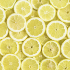 LemonFridge.SR's Avatar'