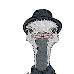 Terrenho_'s Avatar'