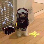 Epic_Gamer_67's Avatar'
