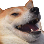 Presidentcam's Avatar'