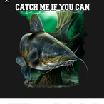 nicecatfish98's Avatar'